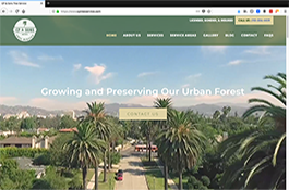Web Development - CP & Sons Tree Service